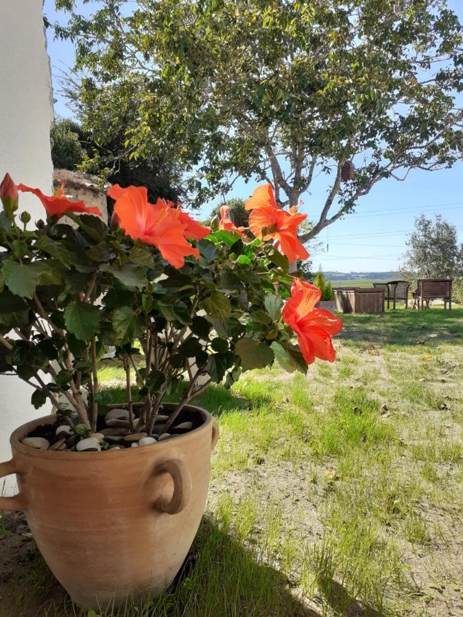 ***** Quinta Do Por Do Sol ***** Appartement Figueira da Foz Buitenkant foto