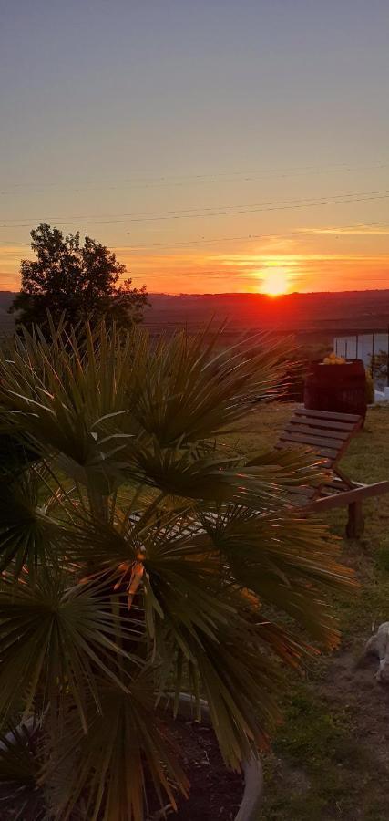 ***** Quinta Do Por Do Sol ***** Appartement Figueira da Foz Buitenkant foto